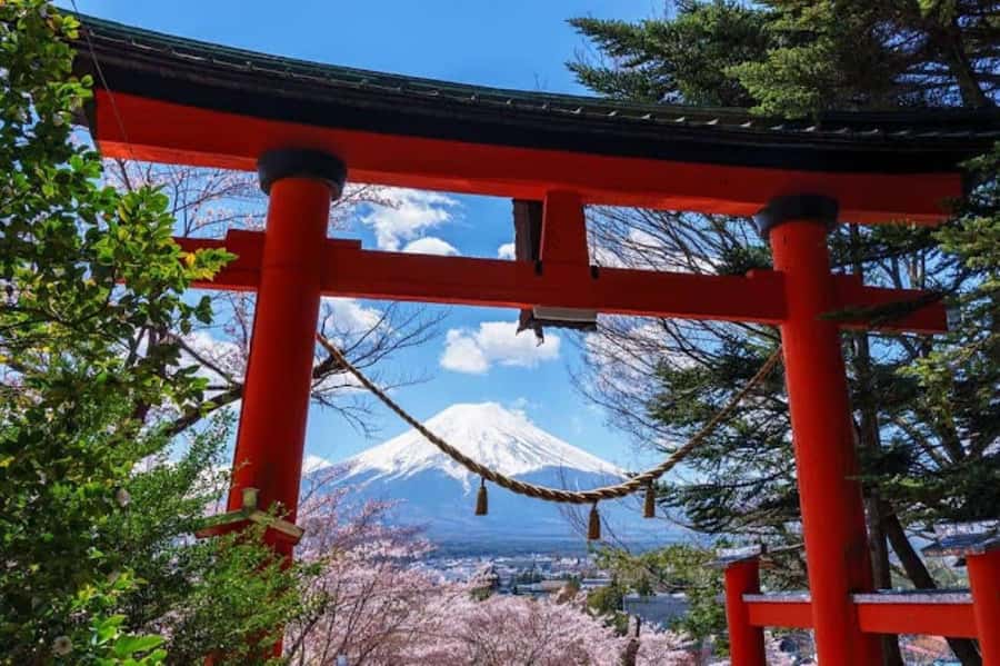 Full-Day Tour to the Picturesque Spots of Mount Fuji - Oshino Hakkai and Mount Fuji’s spring water