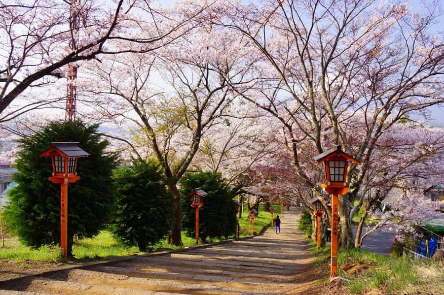 Full-Day Tour to the Picturesque Spots of Mount Fuji - The 400 steps to Chureito Pagoda