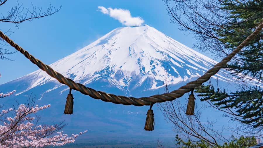 Full-Day Tour to the Picturesque Spots of Mount Fuji - What the guide adds to the day