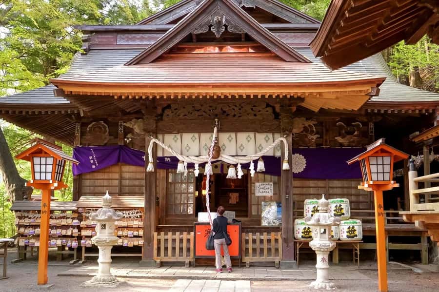 Full-Day Tour to the Picturesque Spots of Mount Fuji - Food, cash, and the practical costs