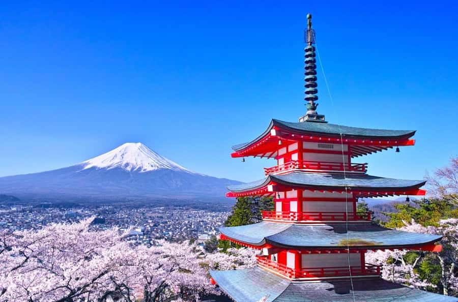 Full-Day Tour to the Picturesque Spots of Mount Fuji - Weather, seasons, and the Fuji gamble