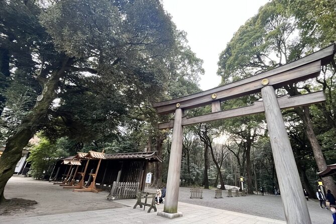 Full Day Walking Tour in Shinjuku and Shibuya - Why this route works for a first day in Tokyo
