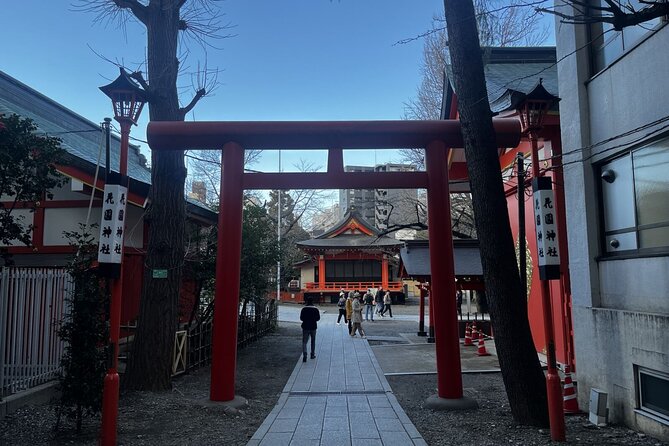 Full Day Walking Tour in Shinjuku and Shibuya - Meiji Jingu, Harajuku, and the route toward Shibuya