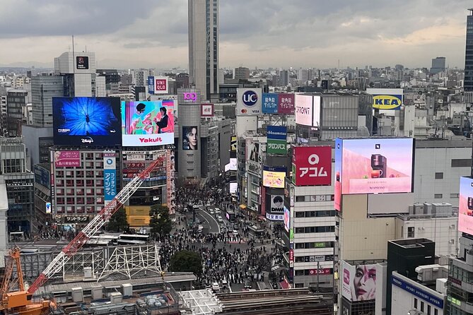 Full Day Walking Tour in Shinjuku and Shibuya - Who should book this Shinjuku and Shibuya day