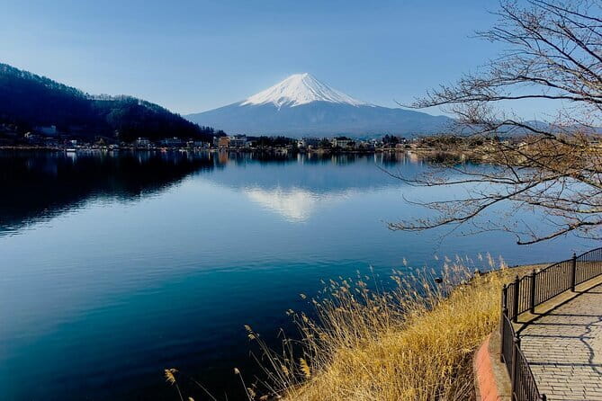 Full Guided Mt. Fuji & Hakone Attractive Private Day Tour - Reaching Mount Fuji at the 5th Station