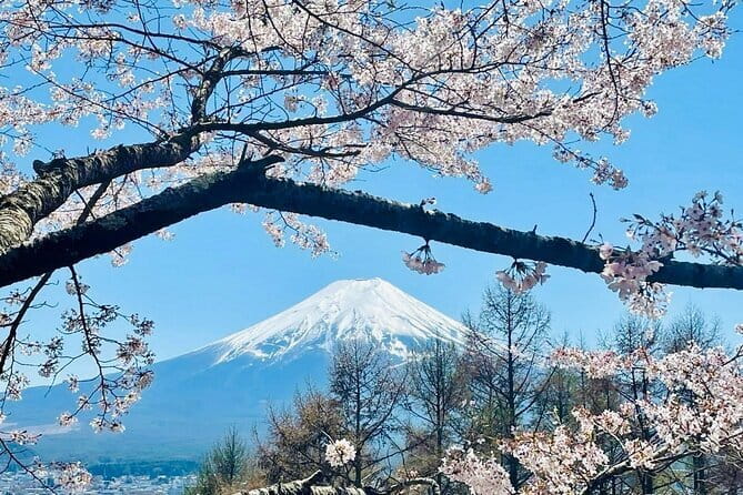 Full Guided Mt. Fuji & Hakone Attractive Private Day Tour - Lake Ashi and Hakone’s famous torii gate