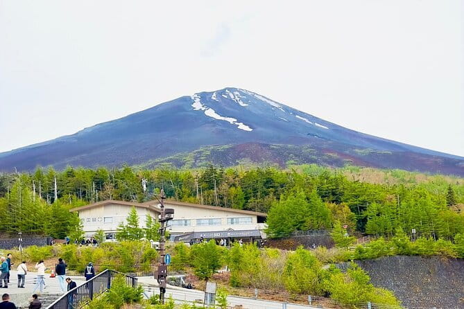 Full Guided Mt. Fuji & Hakone Attractive Private Day Tour - Owakudani’s sulfur vents and black eggs