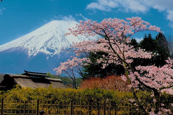 Full Guided Mt. Fuji & Hakone Attractive Private Day Tour - Oishino Hakkai, Chureito Pagoda, and seasonal changes