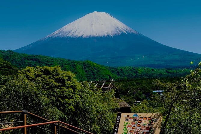 Full Guided Mt. Fuji & Shiba-Sakura Festival One Day Pvt.Tour - Key points to know before booking