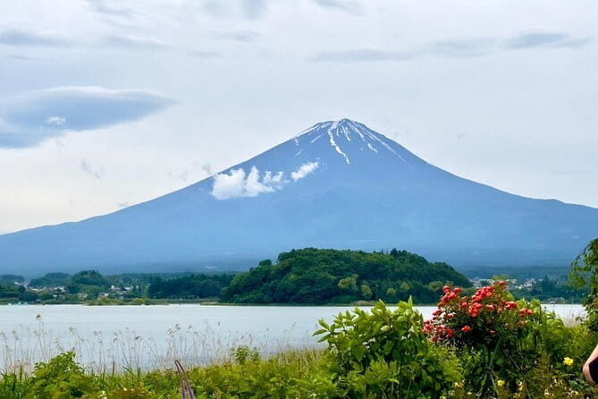 Full Guided Mt. Fuji & Shiba-Sakura Festival One Day Pvt.Tour - A private Fuji day from Tokyo