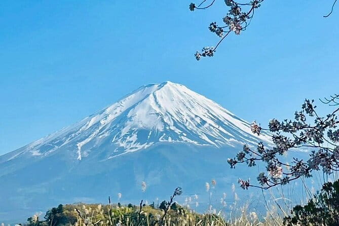 Full Guided Mt. Fuji & Shiba-Sakura Festival One Day Pvt.Tour - Oshino Hakkai and eight clear spring ponds