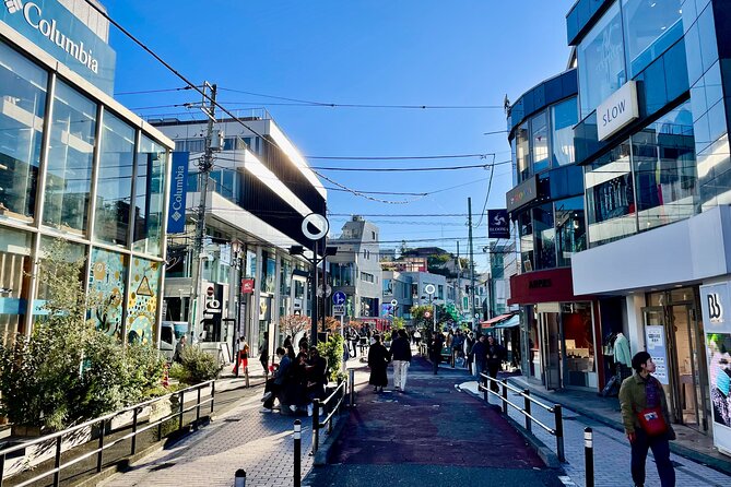 Get Unique Insights into Tokyo - Private Tour with local Guide - What the private format really adds