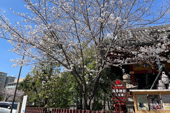 Goshuin Collecting tour at Asakusa Local Temples & Shrines, Tokyo - Why goshuin makes this Asakusa walk different
