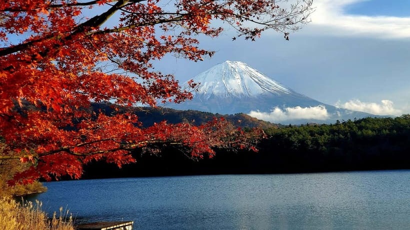 Guided Mt. Fuji & Hakone Tour GREEN NUMBER PLATES - Key points to know before booking