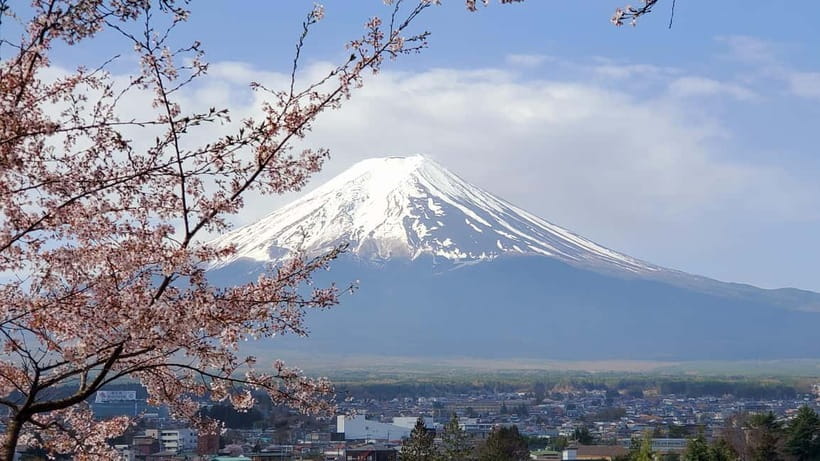 Guided Mt. Fuji & Hakone Tour GREEN NUMBER PLATES - Why this private Mt. Fuji and Hakone day works