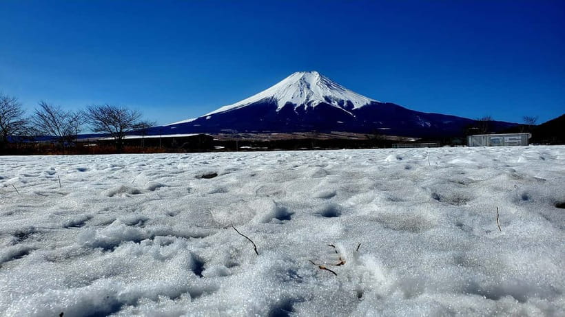 Guided Mt. Fuji & Hakone Tour GREEN NUMBER PLATES - Oshino Hakkai’s clear ponds and local snacks