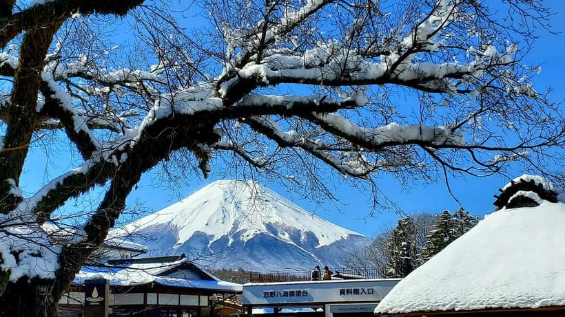 Guided Mt. Fuji & Hakone Tour GREEN NUMBER PLATES - Lake Ashi’s boat cruise