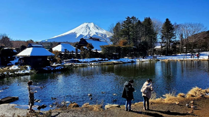 Guided Mt. Fuji & Hakone Tour GREEN NUMBER PLATES - Chureito Pagoda and the classic Fuji view