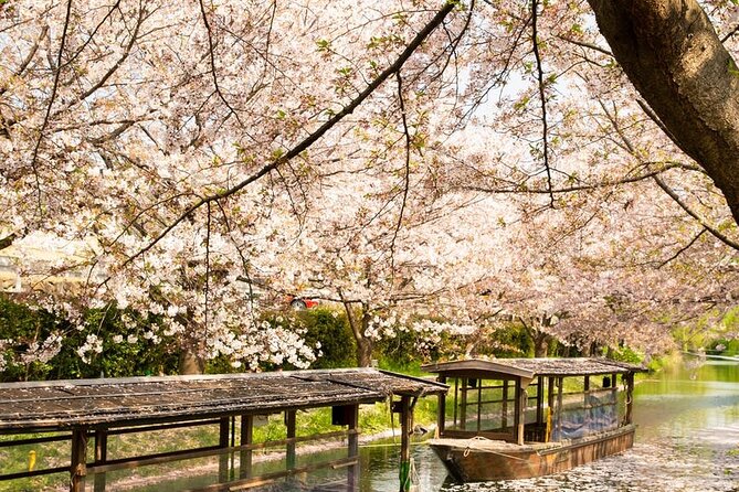 Hakone and Mt. Fuji Day Trip with Private Vehicle - What the driver service is really like