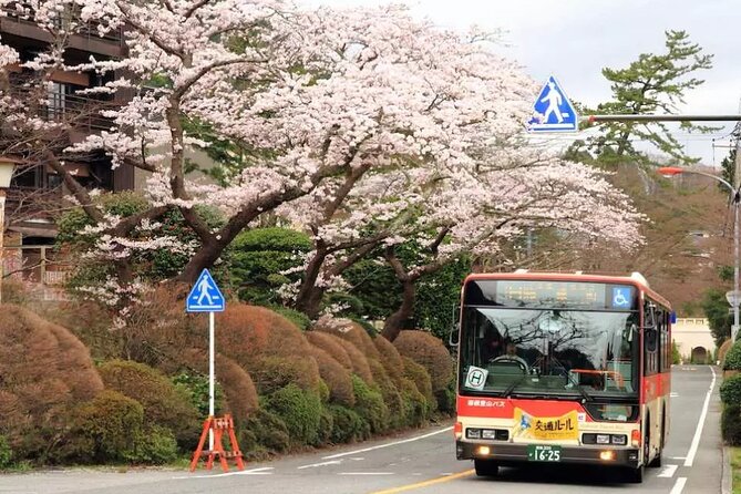 Hakone Free Pass, 2-3 Days Travel Voucher Japan - Cable car and ropeway: the scenic middle of the circuit