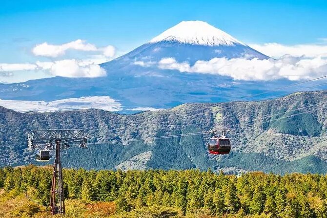 Hakone Free Pass, 2-3 Days Travel Voucher Japan - Lake Ashi and the Hakone Sightseeing Cruise