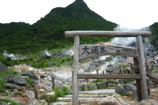 Hakone Free Pass, 2-3 Days Travel Voucher Japan - The main weakness: Hakone’s popular loop gets crowded