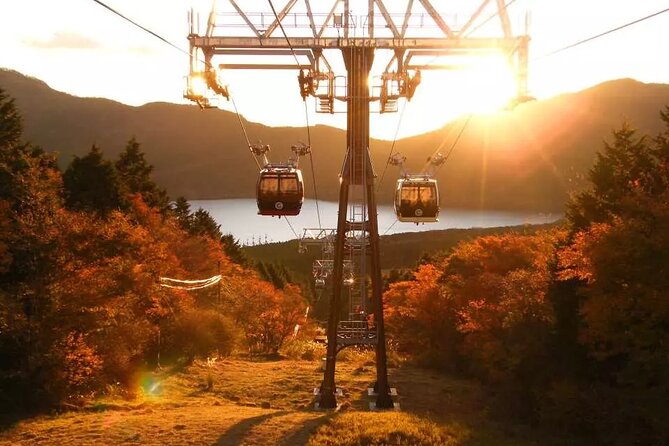 Hakone Free Pass, 2-3 Days Travel Voucher Japan - Beginning in Tokyo: Shinjuku, Odawara, and the first ticket decision