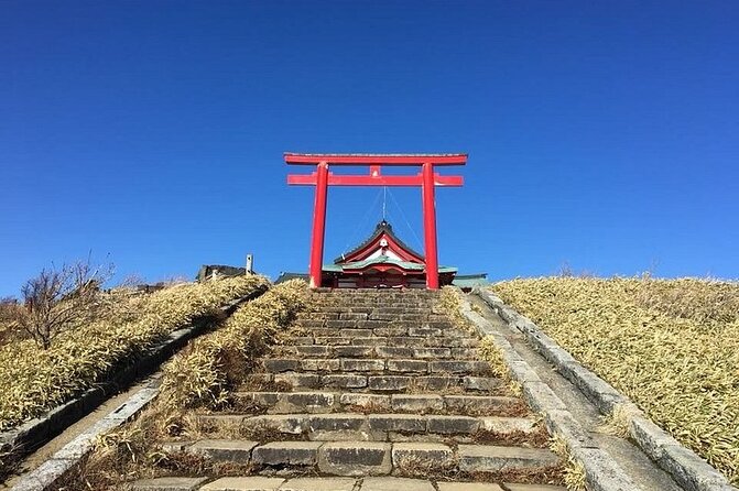 Hakone Full Customized Private Tour with English Speaking Driver - Lake Ashi, ropeway views, and the dragon gate