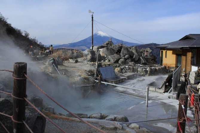 Hakone Full-Day Private Tour By Public Transportation - How guides can shape a rainy-day visit