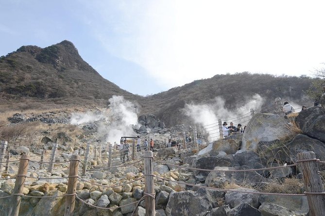 Hakone Full-Day Private Tour(Tokyo DEP.) with Government-Licensed Guide - Starting at Lake Ashi and Hakone Shrine
