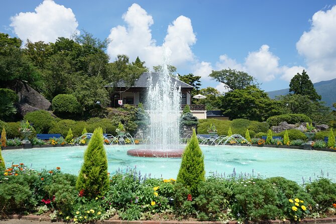 Hakone Private One Day Tour From Tokyo: Mt Fuji, Lake Ashi, Hakone National Park - Transport, timing, and the real cost of convenience