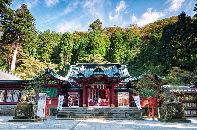 Hakone Private One Day Tour From Tokyo: Mt Fuji, Lake Ashi, Hakone National Park - What the private guide adds