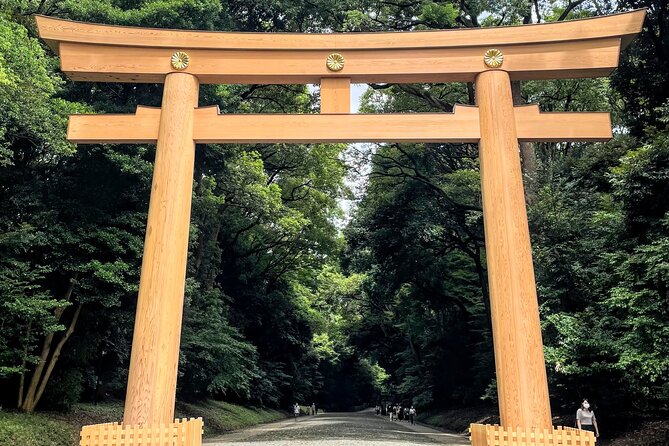 Half Day Sightseeing Tour in Tokyo - My practical verdict on the $94.84 price