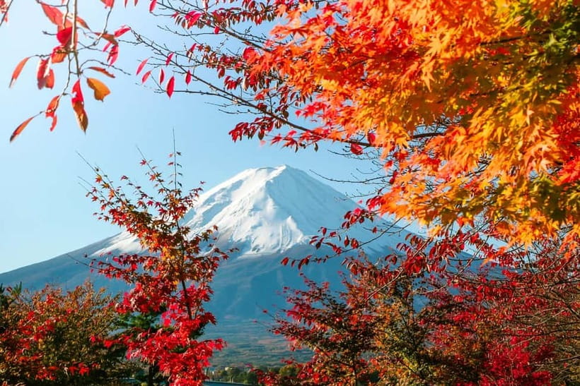 Halfway Up Mt,Fuji, Oshino Hakkai, Kawaguchiko from Tokyo - A full day around Japan’s most famous mountain