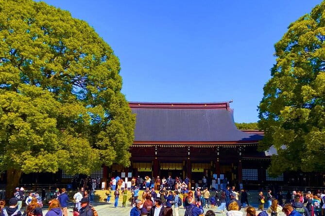 Harajuku Highlights: Where Tradition Meets Tokyo Pop - Takeshita Street’s Bright Half Hour