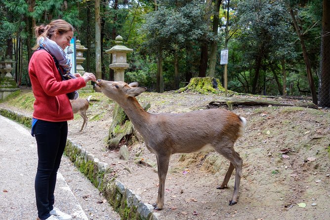 Highlights of Japan Tour: 10-day Small Group - Key points at a glance