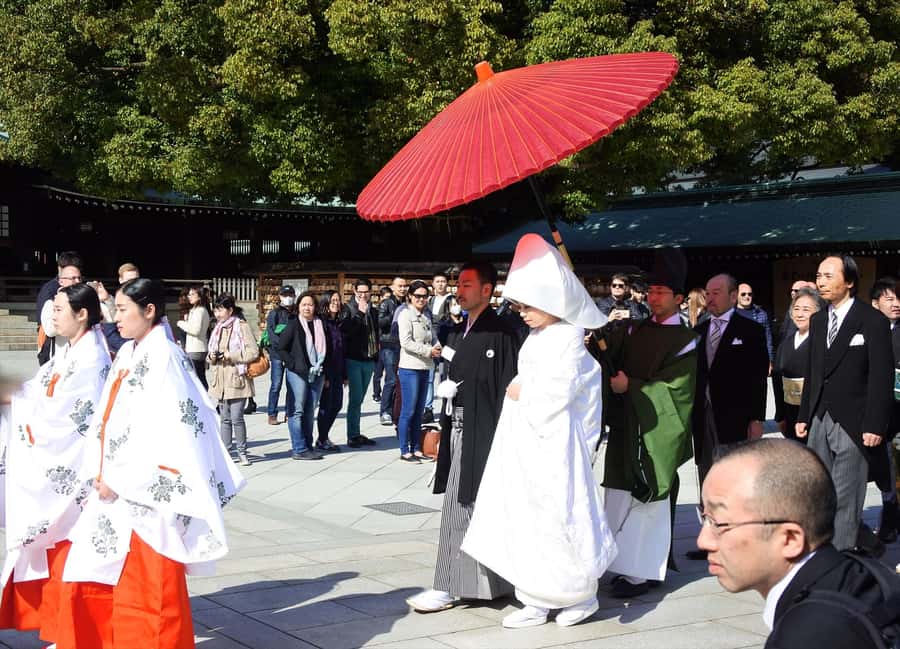 Highlights of Tokyo Private Tour with a Licensed Guide - Who will enjoy this Tokyo day tour?