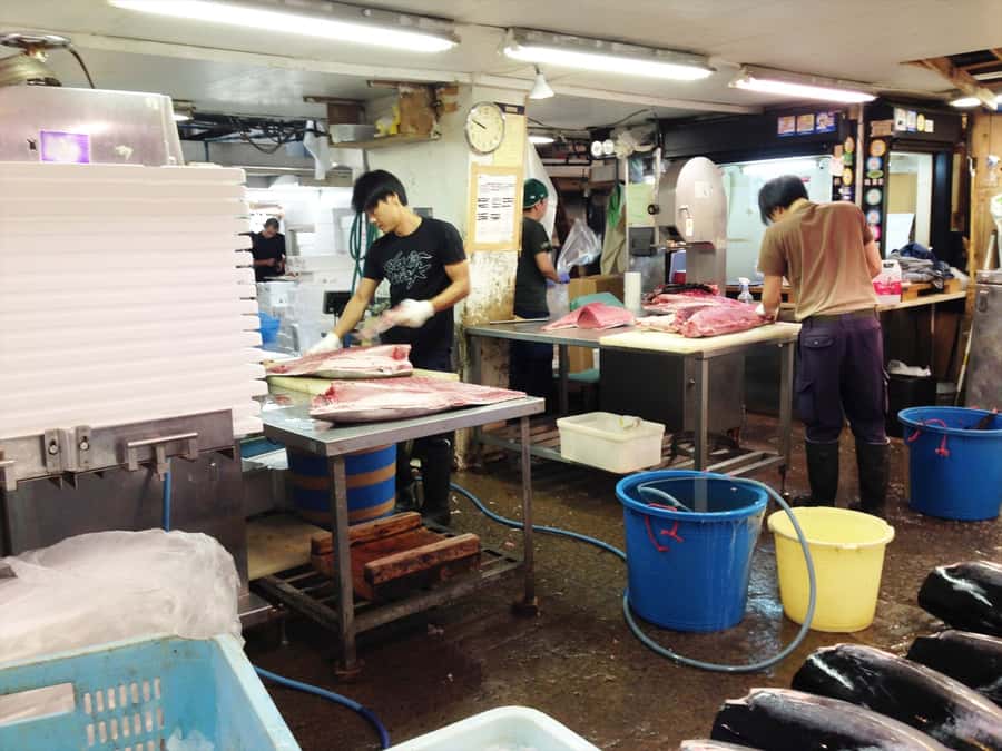Highlights of Tokyo Private Tour with a Licensed Guide - Four sides of Tokyo in six hours