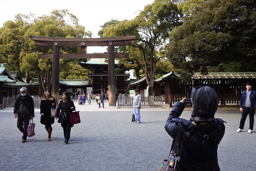 Highlights of Tokyo Private Tour with a Licensed Guide - Tsukiji Outer Market for breakfast or lunch