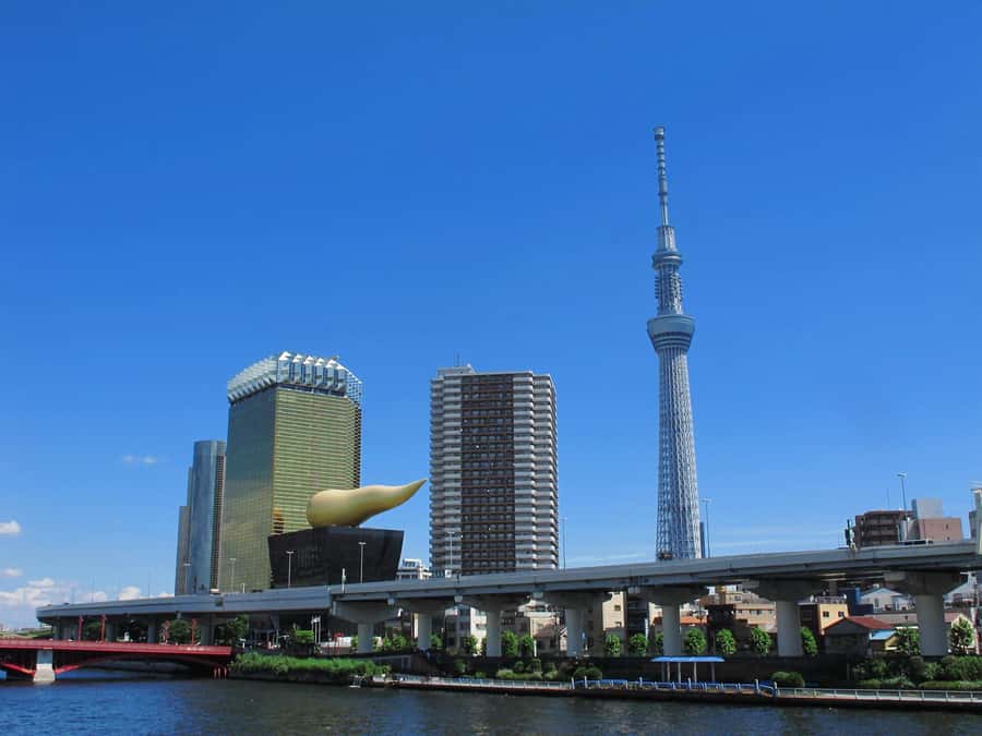 Highlights of Tokyo Private Tour with a Licensed Guide - Is $466 good value for your group?