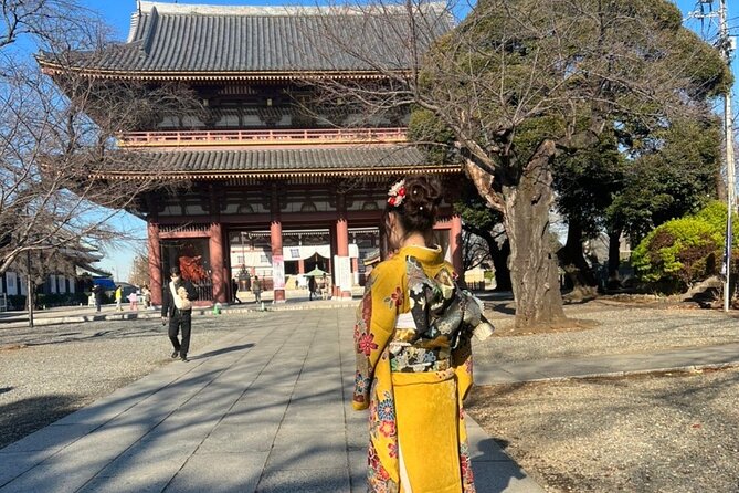 Historic Temple・traditional Japanese garden& Eating around at a shopping strip - Why this half-day route feels different from central Tokyo