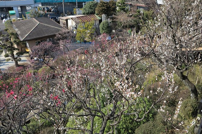 Historic Temple・traditional Japanese garden& Eating around at a shopping strip - Two hours along Togoshi Ginza Shopping Street