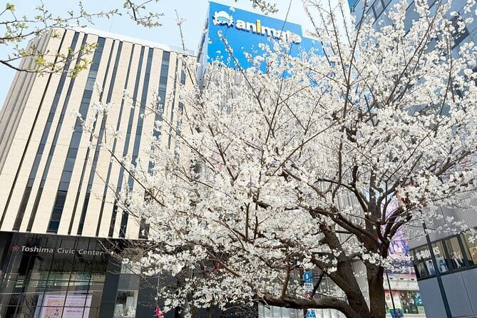 Ikebukuro Anime and Game Culture Experience Tour - Classic games at Ikebukuro Mikado