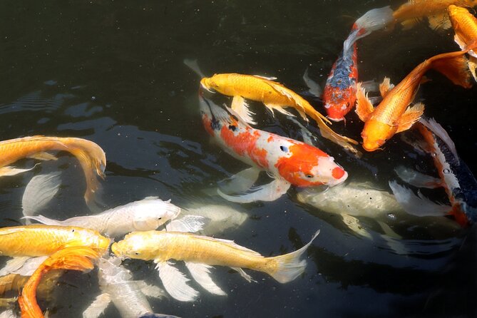 Imperial Palace East Garden and Edo Castle Walking Tour in Tokyo - Weather, clothing, and timing