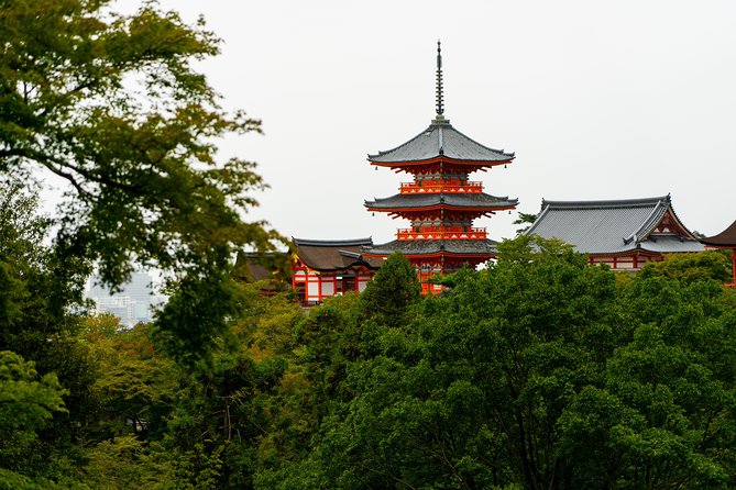 Japan Classic 10 Day - One Life Adventures - Takayama brings mountain trains, sake, and Hida beef