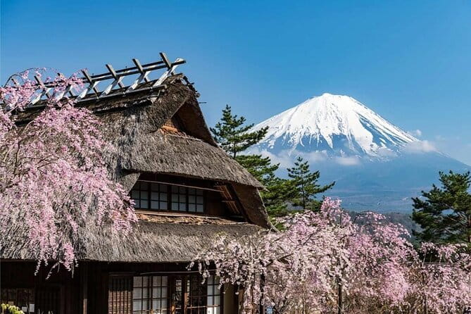 Japan's Best Mount Fuji Tour - Why this Mount Fuji day trip works