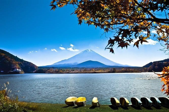 Japan's Best Mount Fuji Tour - Saiko Iyashi no Sato Nenba, the Healing Village