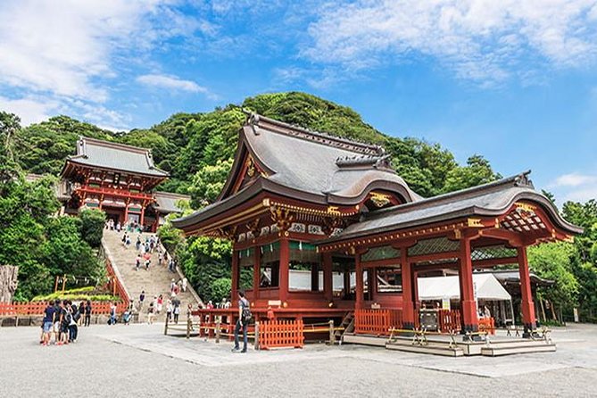 Kamakura 8 hr Private Walking Tour with Licensed Guide from Tokyo - Bamboo, hills, and quieter temple choices