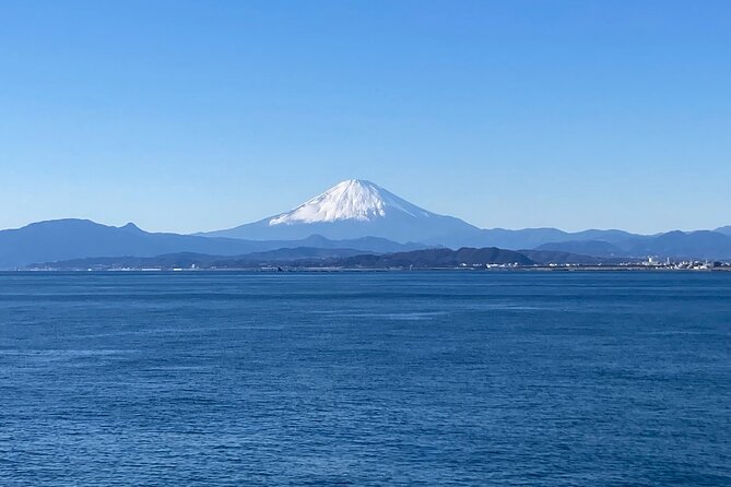 Kamakura & Enoshima 1 day bus tour from Tokyo and Yokohama - The Great Buddha gives Kamakura its defining image