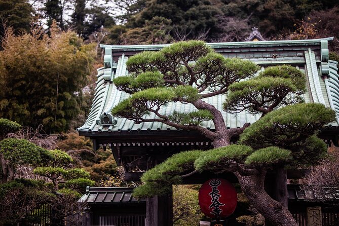 Kamakura Full-Day Private Tour from Tokyo (Customizable) - Key points to know before booking